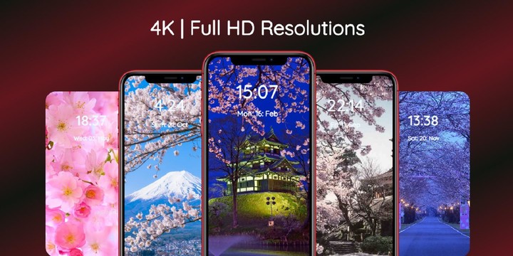 Sakura Wallpaper_modkill.com