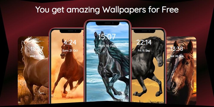 Horse Wallpapers HD | Horses