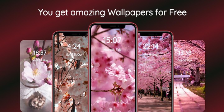 Sakura Wallpaper_playmods.games