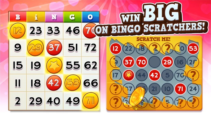 Bingo Pop: Play Live Online_playmod.games