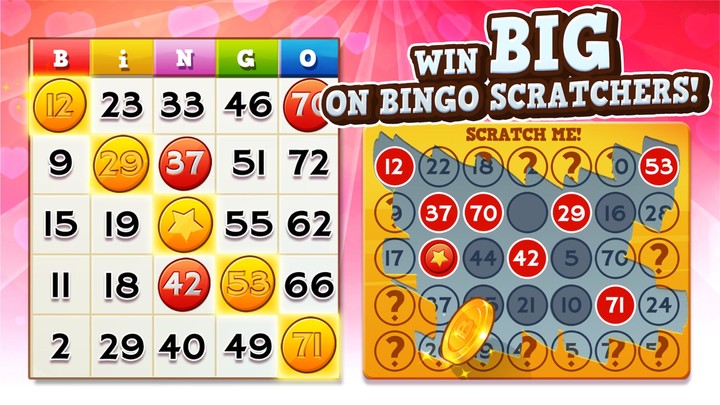 Bingo Pop: Play Live Online_playmods.games