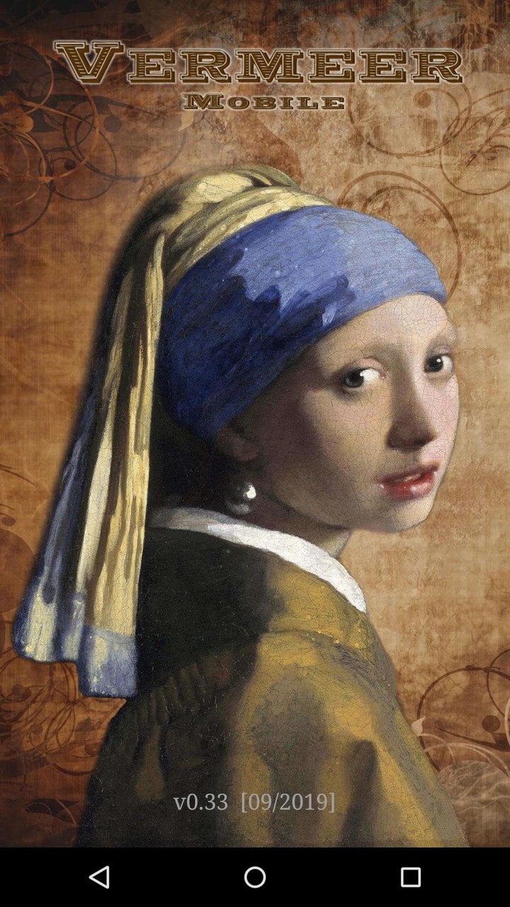 Vermeer Mobile‏