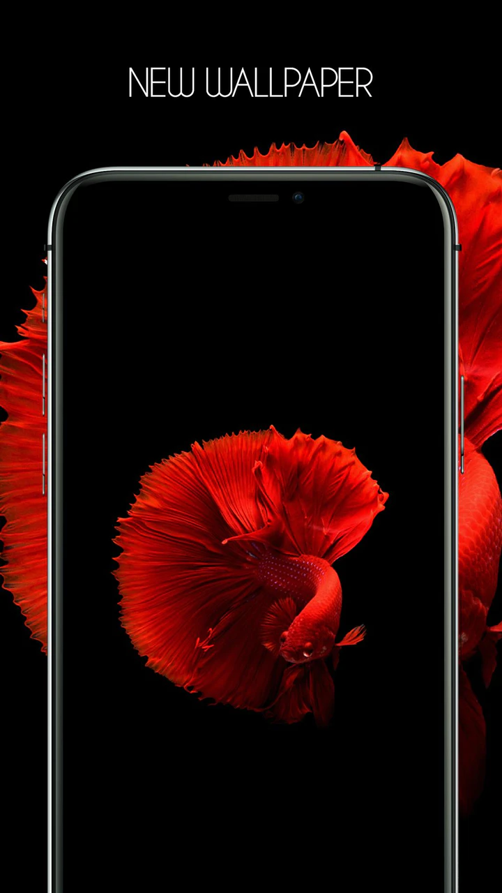 Download HD Wallpapers For iPhone 12 MOD APK v Ios 14 for Android