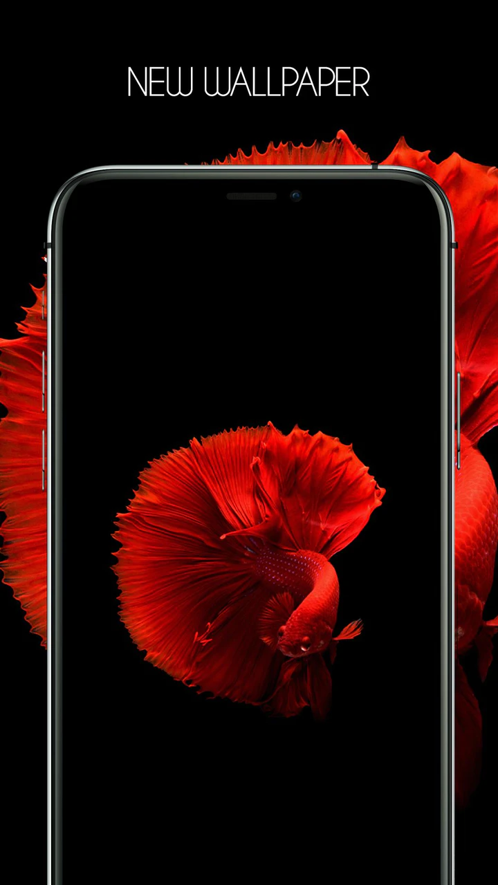 Download HD Wallpapers For iPhone 12 MOD APK v Ios 14 for Android Download HD Wallpapers For iPhone 12 MOD APK v Ios 14 for Android
