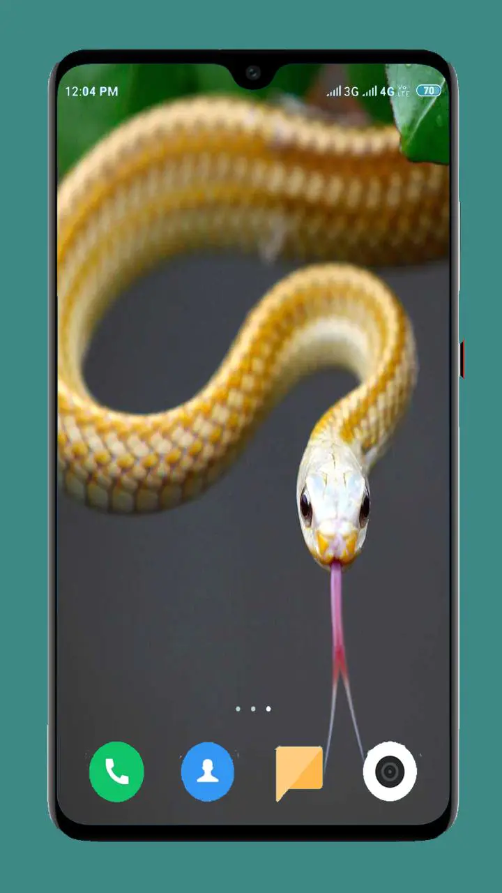 تنزيل Snake Wallpaper HD MOD APK v  لأجهزة Android
