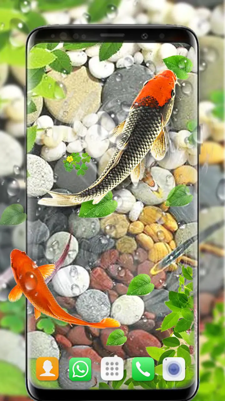 Download Koi Fish Live Wallpapers 3D APK  For Android