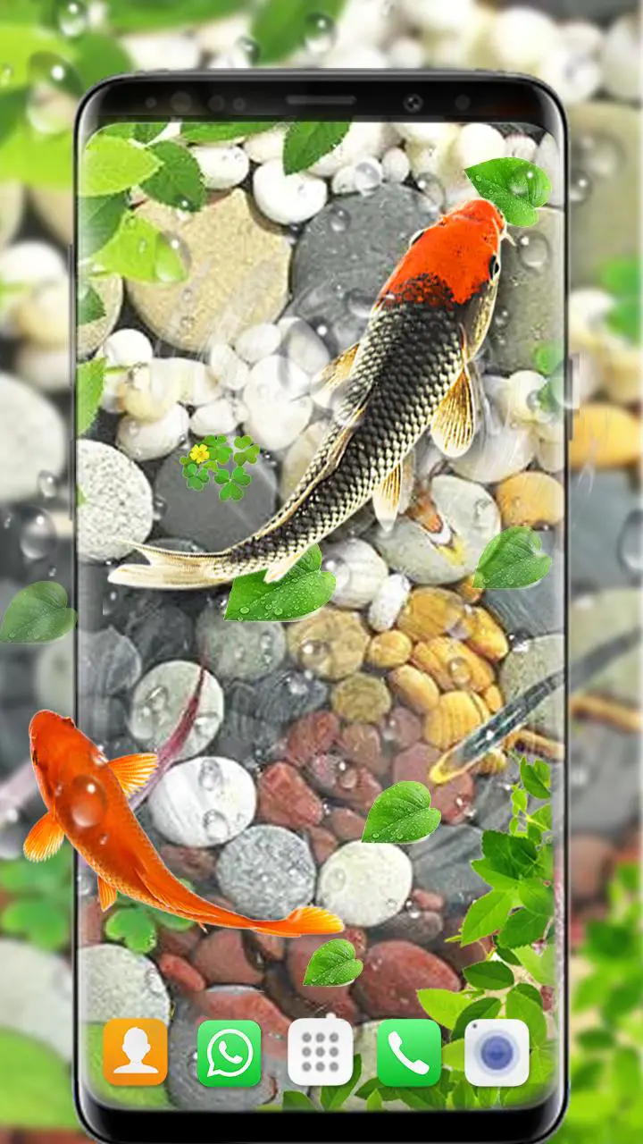Download Koi Fish Live Wallpapers 3D APK For Android Download Koi Fish Live Wallpapers 3D APK For Android