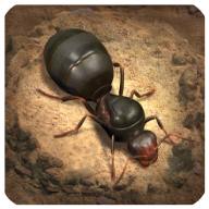 Free download The Ants: Underground Kingdom(No Google framework needed) v1.16.0 for Android