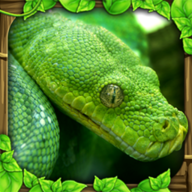 Free download Snake Simulator(all contents for free) v1.5 for Android