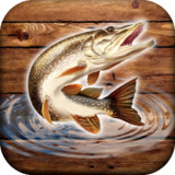 Fish Rain: Sport Fishing Games. Fishing Simulator._playmods.net