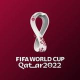 FIFA WORLD CUP 2022_playmod.games