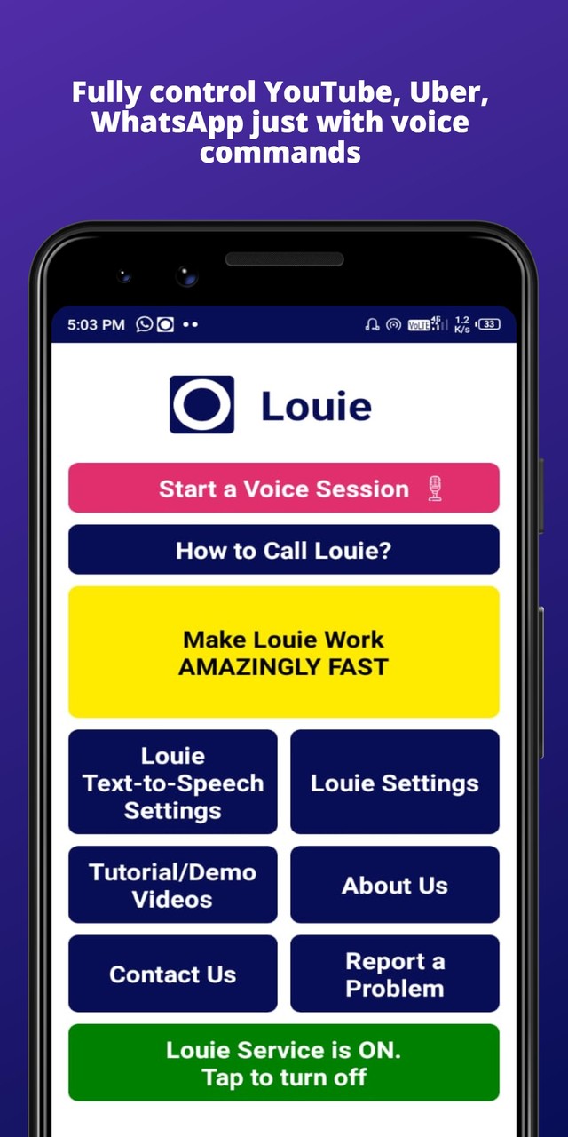 LOUIE VOICE CONTROL: Assistant