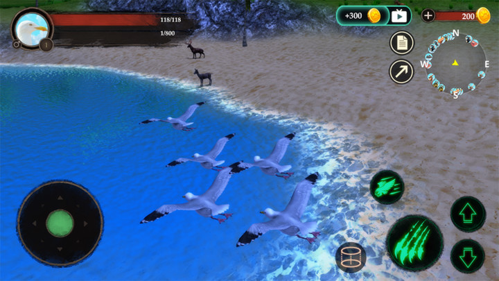 The Seagull‏(أموال غير محدودة) screenshot image 2
