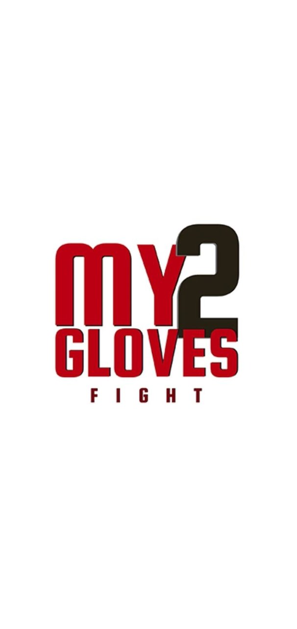 My2Gloves Fight
