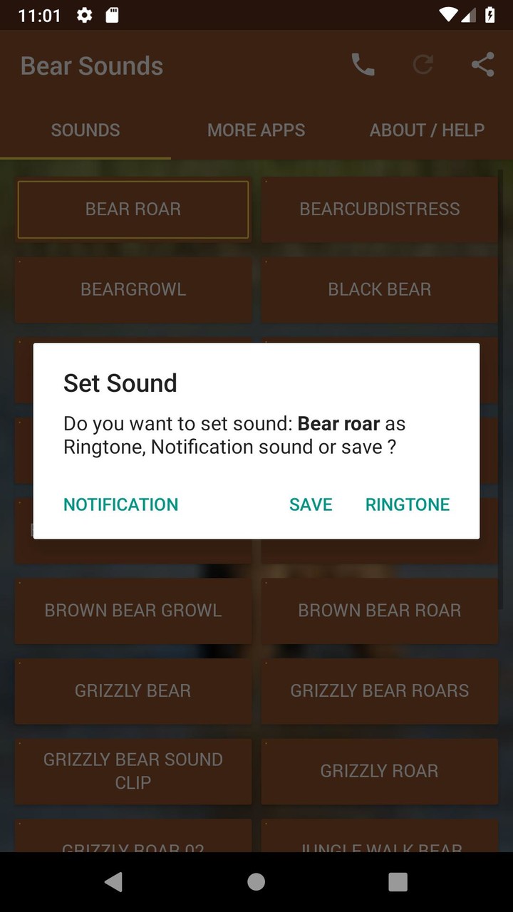 Bear Sounds
