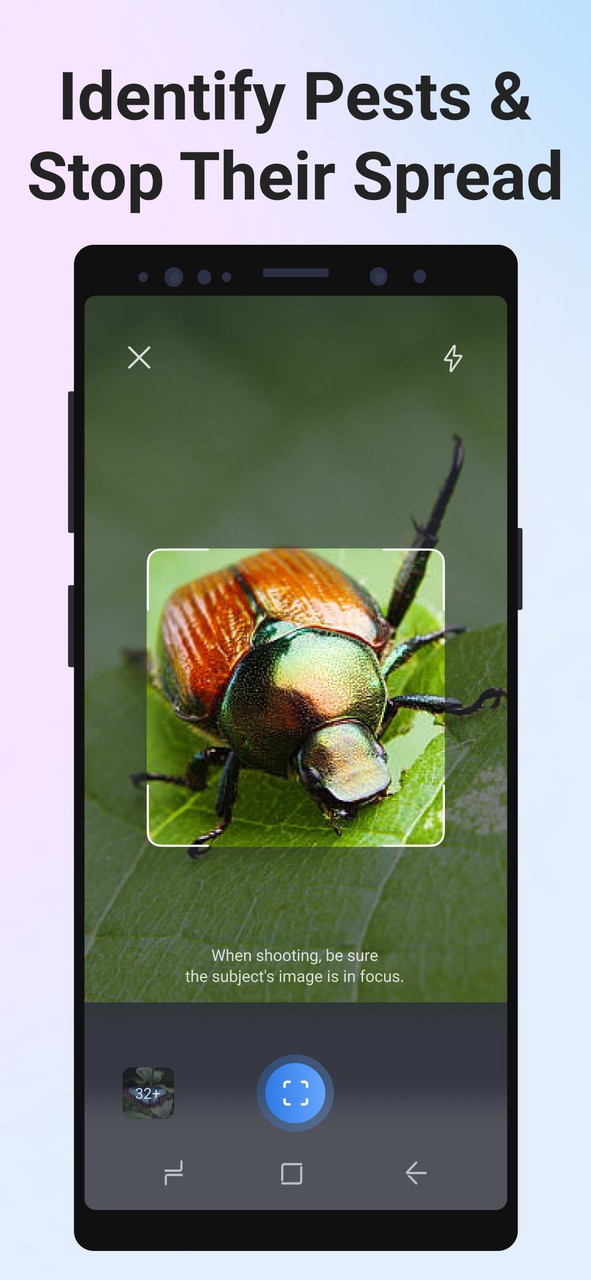 Picture Insect - Bug Identifier(MOD)