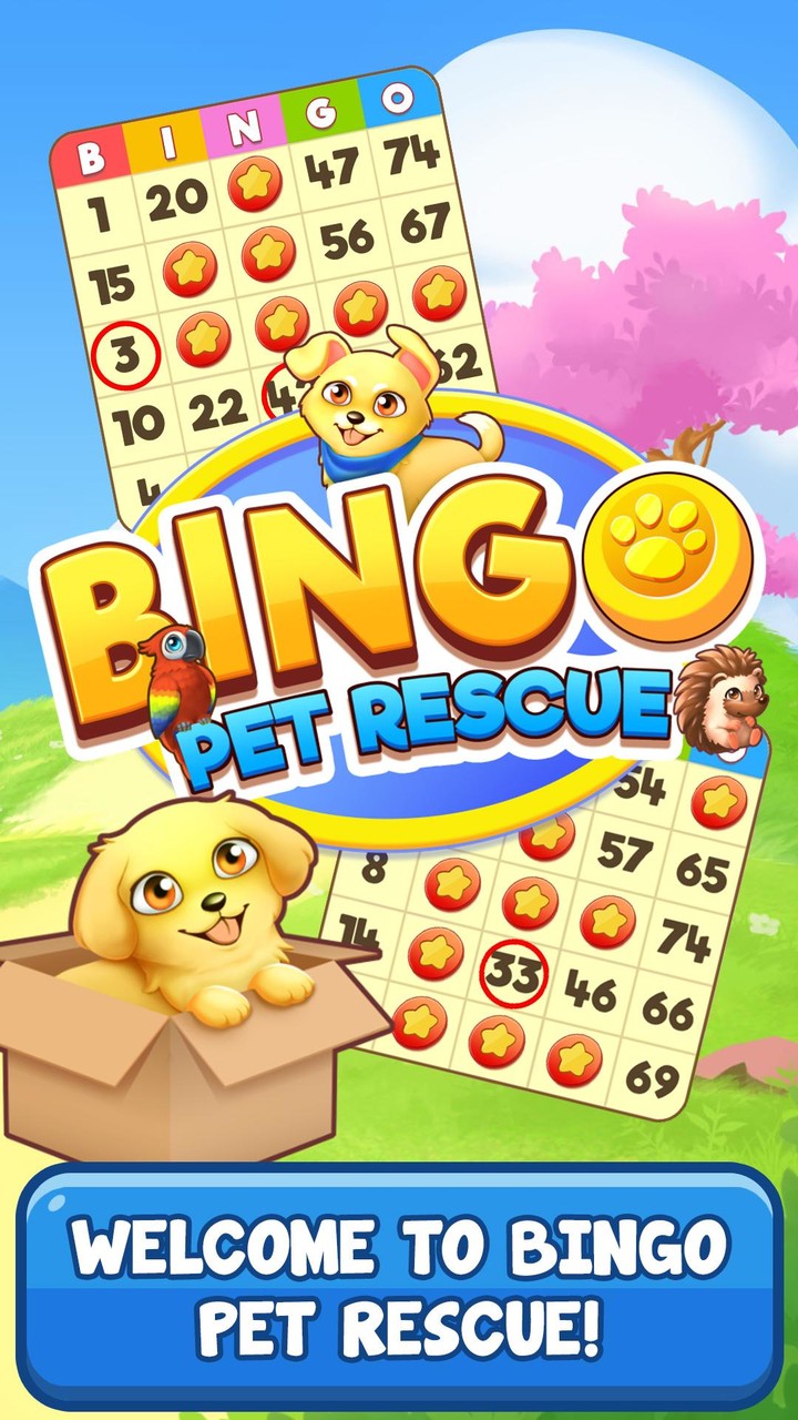 Bingo Pet Rescue