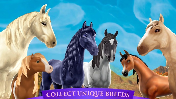 Horse Riding Tales - Wild Pony_playmod.games