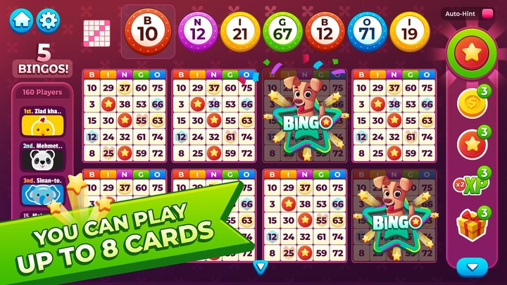 Bingo My Home_modkill.com