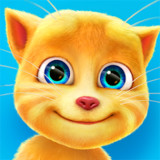 Talking Ginger MOD APK 3.0.0.144 (Unlocked)(Mod)3.1.1.222_playmod.games