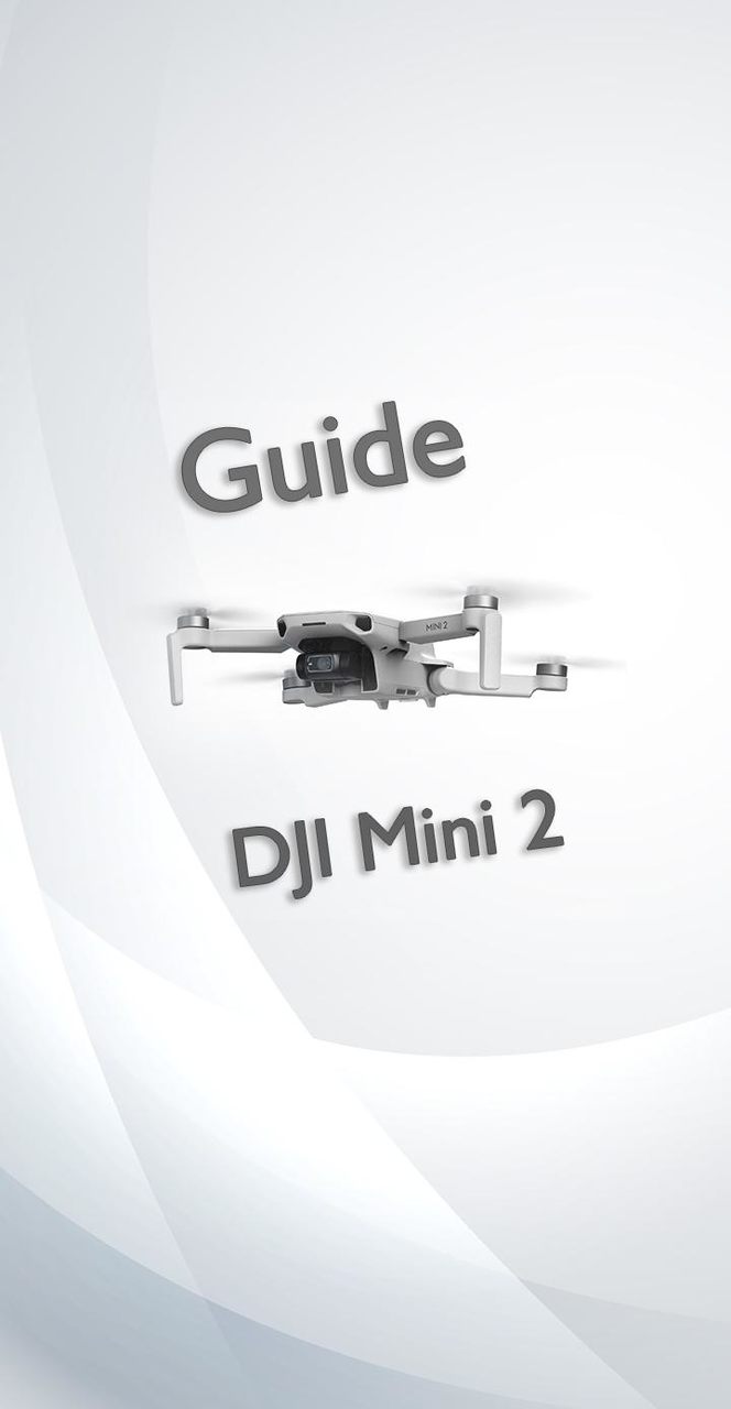 DJI Mini 2 Guide Ảnh chụp màn hình trò chơi
