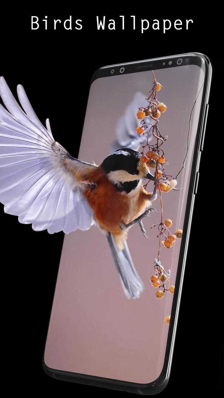 Download 3D Live Wallpapers APK For Android Download 3D Live Wallpapers APK For Android