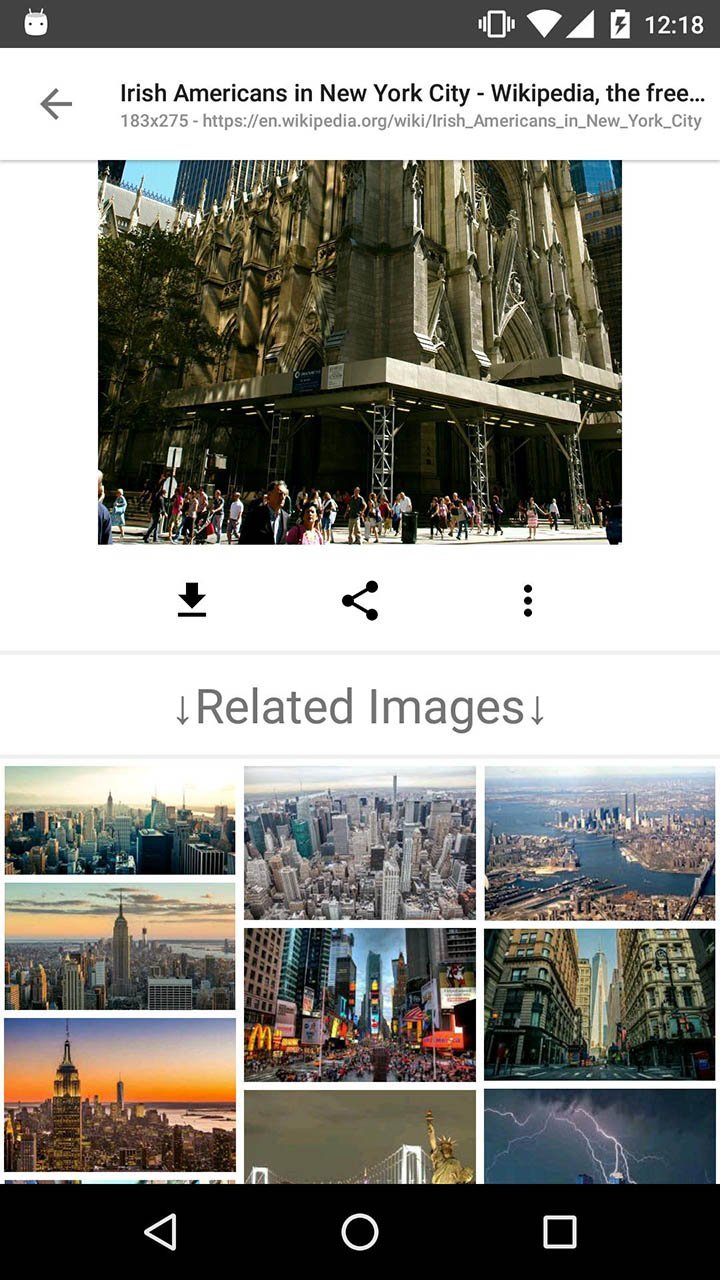 Image Search - ImageSearchMan(no ads) screenshot image 4