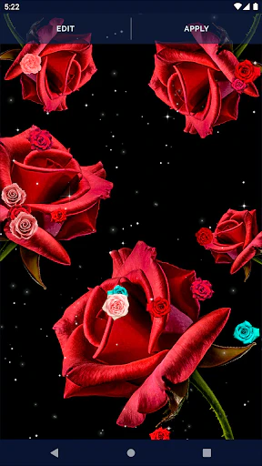 Download Red Rose 4K Live Wallpaper MOD APK  for Android