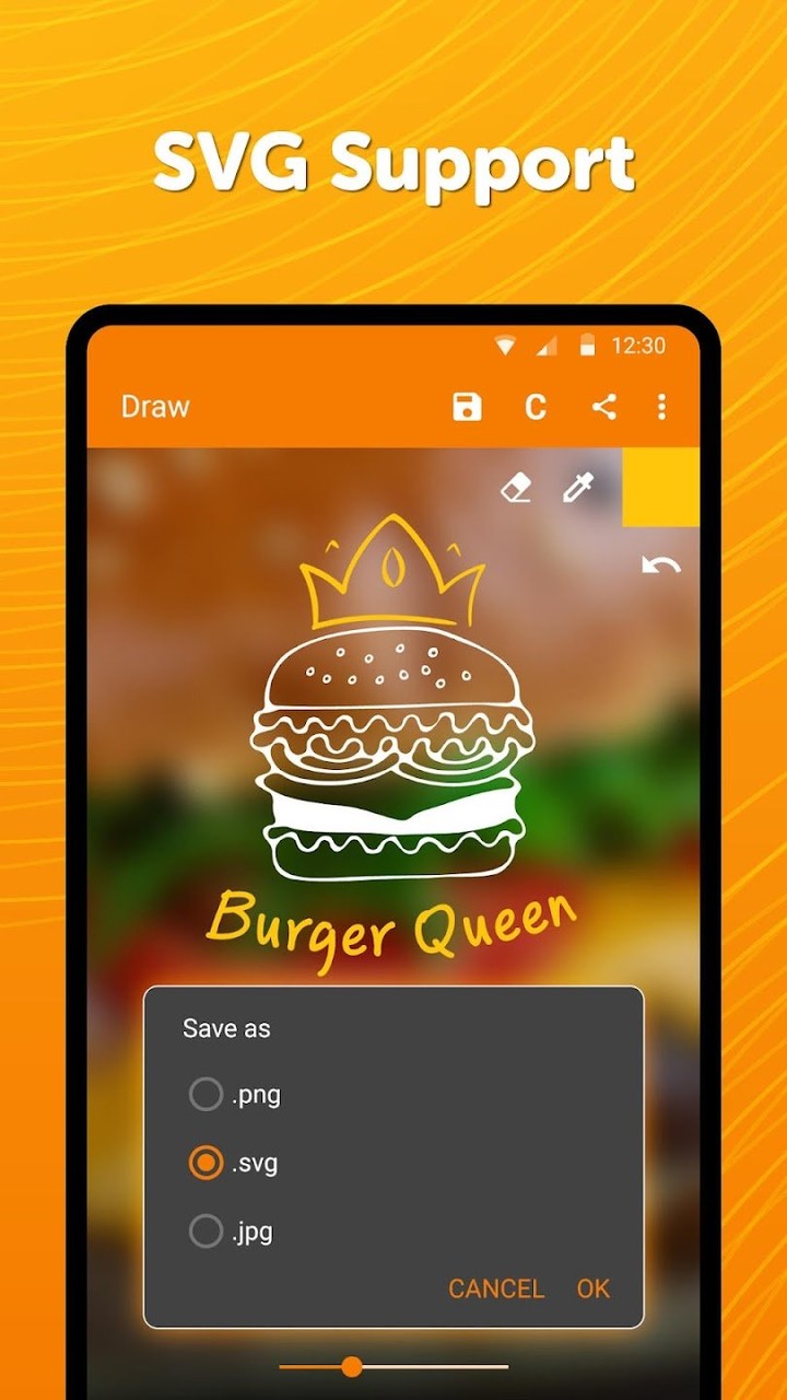 Simple Draw Pro(Unlocked)_playmod.games