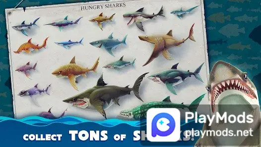 Hungry Shark World(Unlimited Money) screenshot image 4_playmod.games