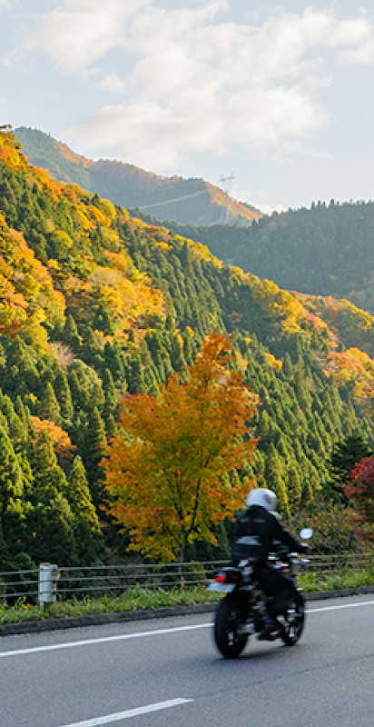 Liberty Rider - GPS moto & SOS