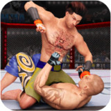 Download Martial Arts Fighting Game(Unlimited Currency) v1.1.5 for Android
