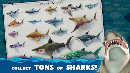 Hungry Shark World(أموال غير محدودة) screenshot image 4