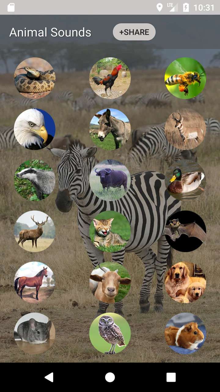 Download Animal sounds and Ringtone APK For Android Download Animal sounds and Ringtone APK For Android