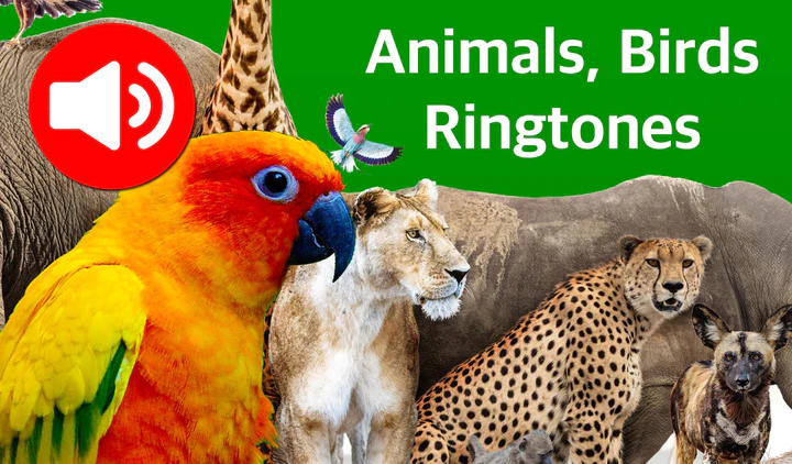 Download Animal Ringtones & Wallpapers MOD APK  for Android