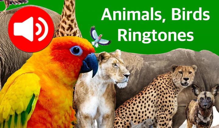 Download Animal Ringtones & Wallpapers MOD APK for Android Download Animal Ringtones & Wallpapers MOD APK for Android