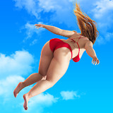 Try to Fly mod apk  ()
