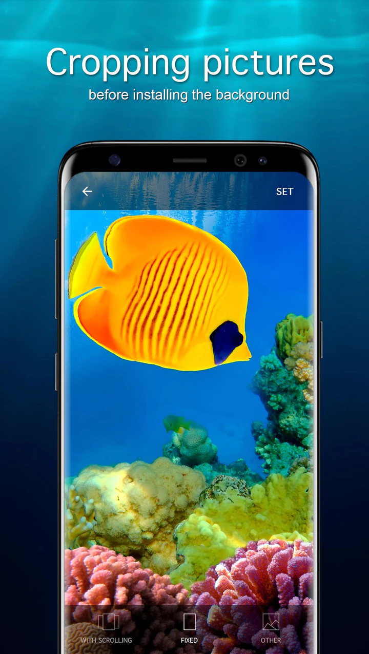 Download Fish Wallpapers 4K APK  For Android