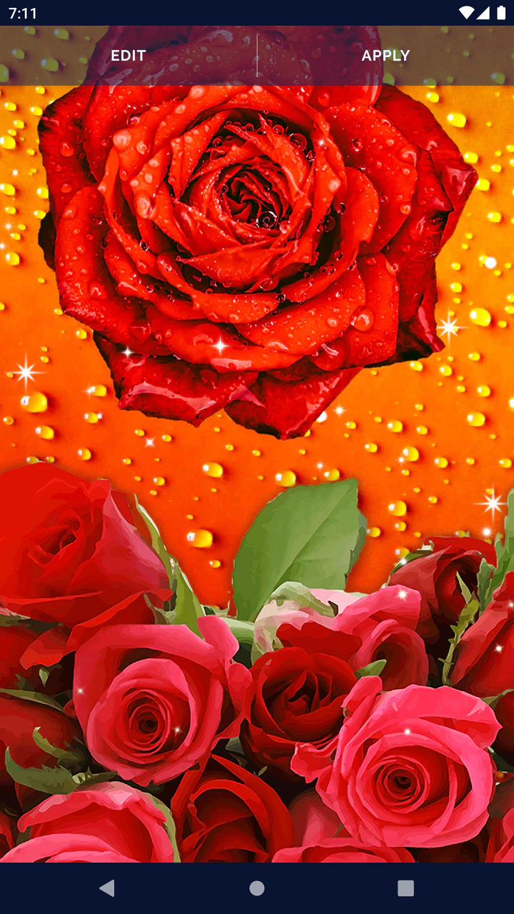 Red Rose Bouquet LWP Free Android Live Wallpaper download  Download the  Free Red Rose Bouquet LWP Live Wallpaper to your Android phone or tablet