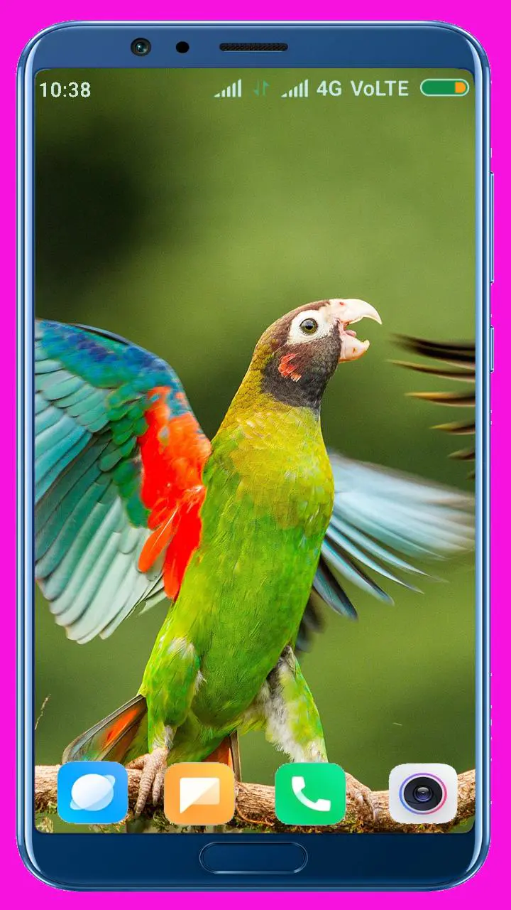 Download Parrot HD Wallpaper MOD APK for Android Download Parrot HD Wallpaper MOD APK for Android