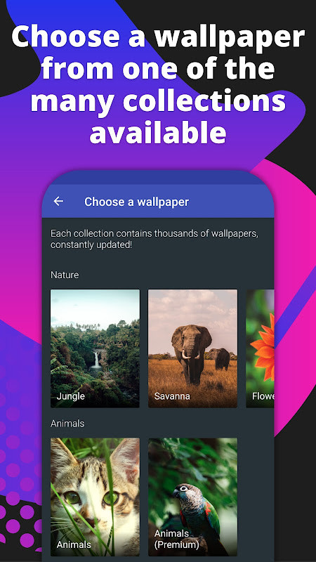 Casualis:Auto wallpaper change