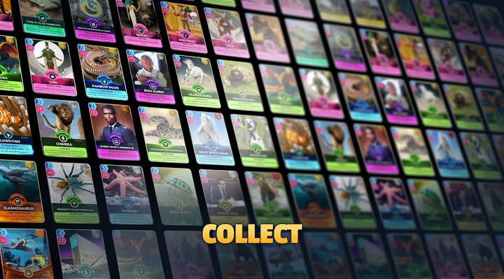 Cards, Universe & Everything_modkill.com