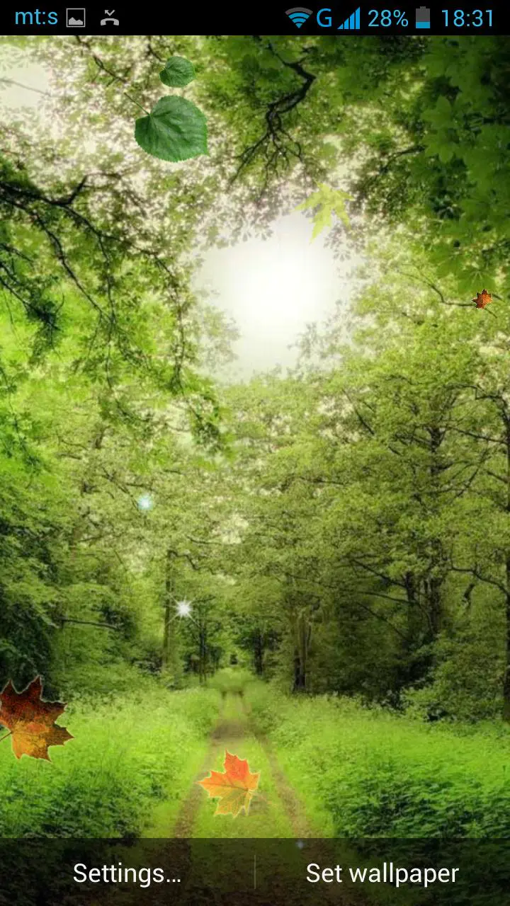 Download Forest Live Wallpaper APK For Android Download Forest Live Wallpaper APK For Android