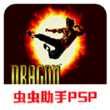 Descendants of the Dragon_playmods.net