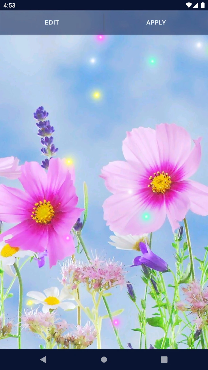Download Live Wallpaper for Samsung MOD APK for Android Download Live Wallpaper for Samsung MOD APK for Android