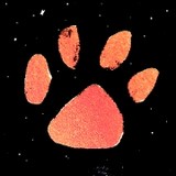 Sixth Extinction(Unlock content)_playmods.net