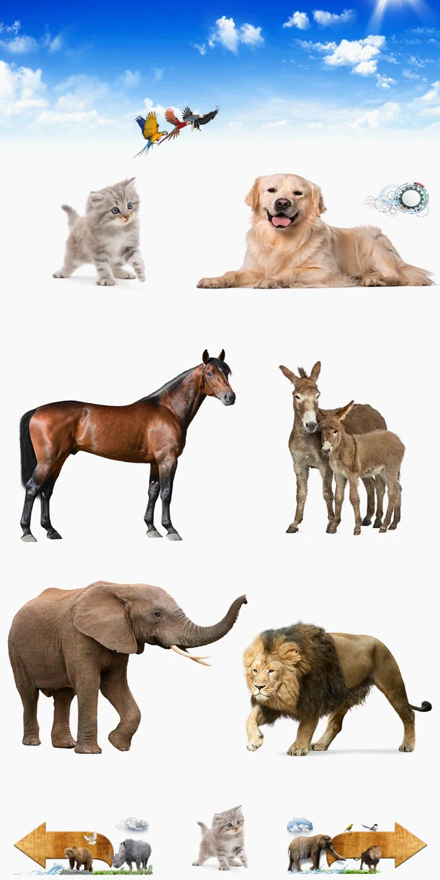 Download Animal Sounds MOD APK for Android Download Animal Sounds MOD APK for Android