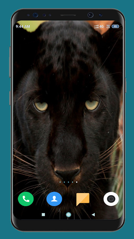 Black Panther HD Wallpaper‏