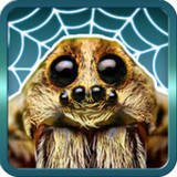 Spider Gagambattle! mod apk 2.2.7 ()