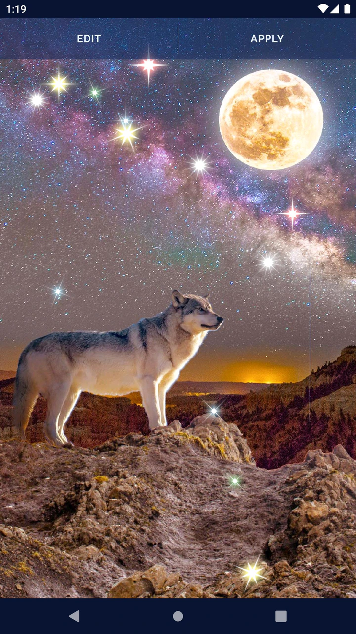 Wolf Spirit Live WallpaperAmazoncomAppstore for Android